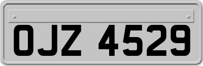 OJZ4529