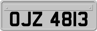 OJZ4813