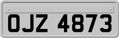 OJZ4873