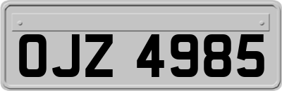 OJZ4985