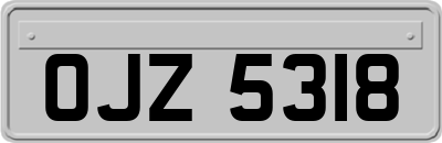 OJZ5318