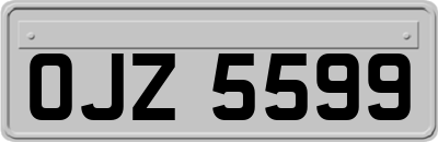 OJZ5599