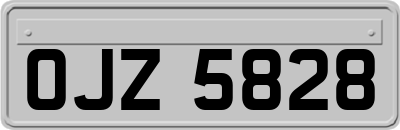 OJZ5828