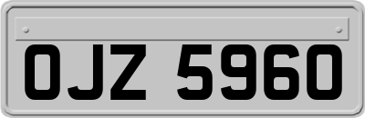 OJZ5960