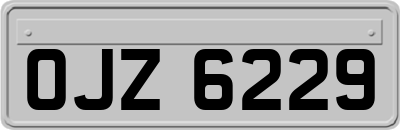 OJZ6229