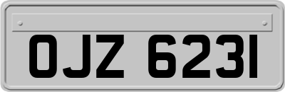 OJZ6231