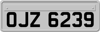 OJZ6239