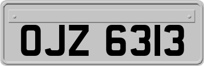 OJZ6313