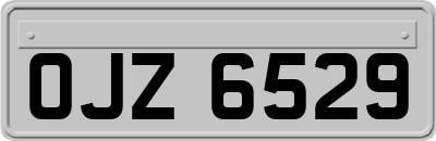 OJZ6529