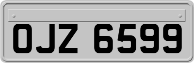 OJZ6599