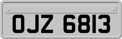 OJZ6813