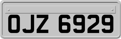 OJZ6929