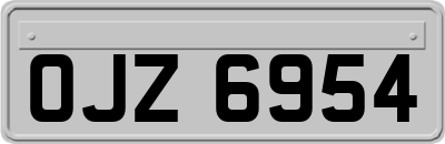 OJZ6954