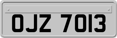 OJZ7013