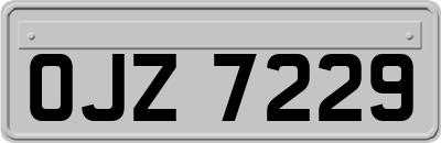 OJZ7229