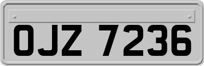 OJZ7236