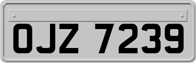 OJZ7239