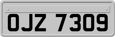 OJZ7309