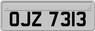 OJZ7313