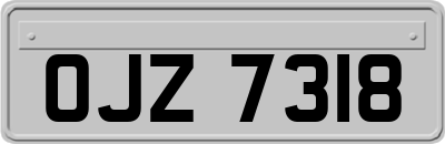 OJZ7318