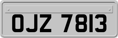 OJZ7813