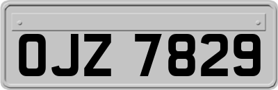 OJZ7829