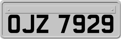 OJZ7929