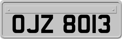 OJZ8013