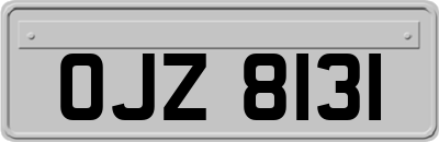 OJZ8131