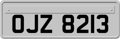 OJZ8213