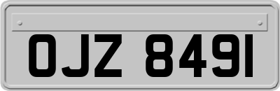 OJZ8491