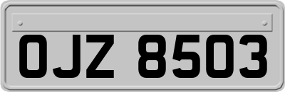 OJZ8503