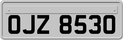 OJZ8530