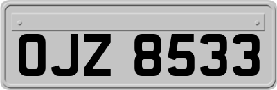 OJZ8533