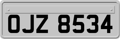 OJZ8534