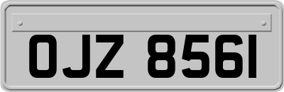 OJZ8561