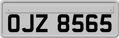 OJZ8565
