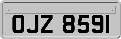 OJZ8591