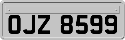 OJZ8599