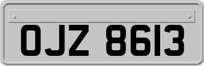 OJZ8613