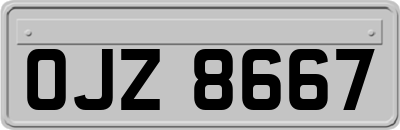 OJZ8667