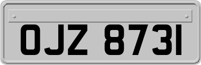 OJZ8731