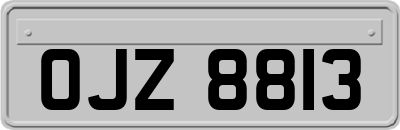 OJZ8813