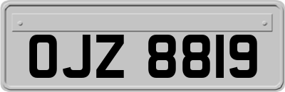 OJZ8819