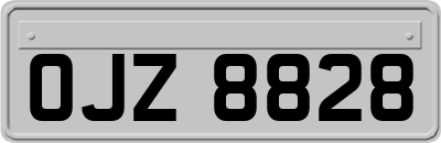 OJZ8828