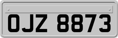 OJZ8873
