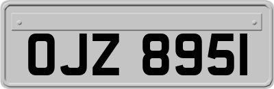 OJZ8951