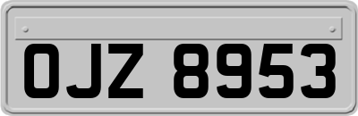 OJZ8953