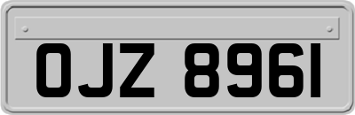 OJZ8961
