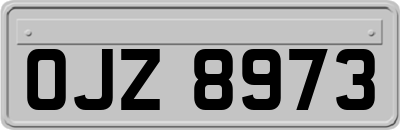 OJZ8973